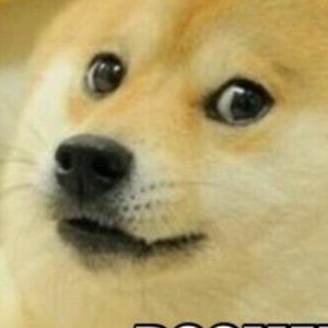 Meet your Posher, Jazlene